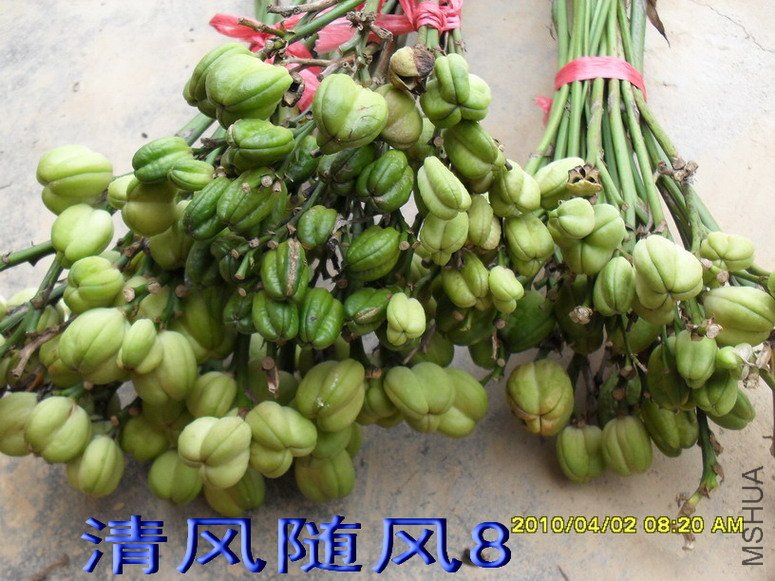 ���յ��ӽ��ֹ�