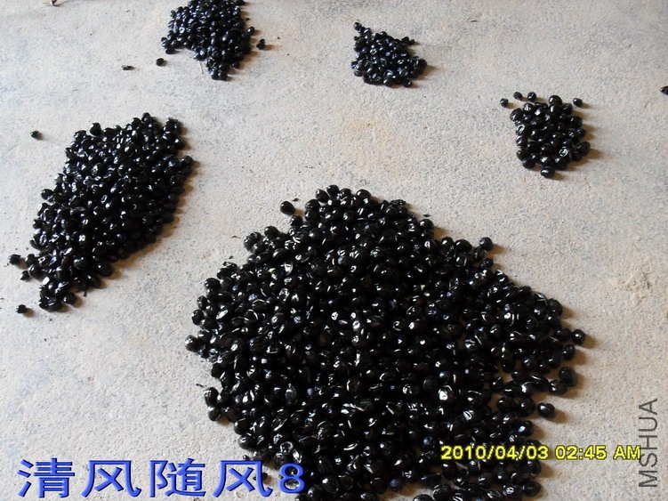 ���������ѣ�׼�������