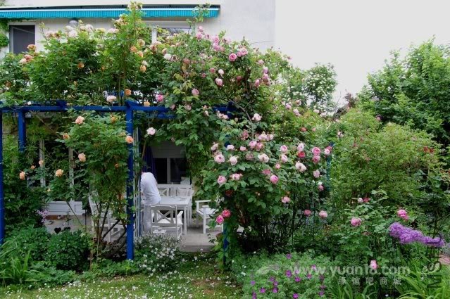 CONSTANCE SPRY 18.jpg