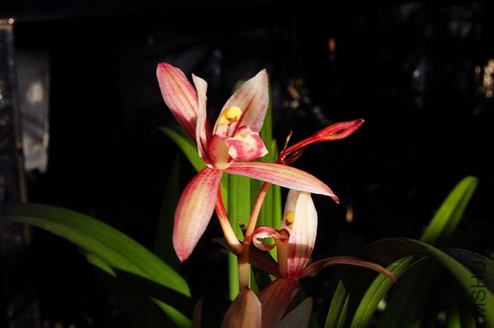 DSC_01380138.JPG