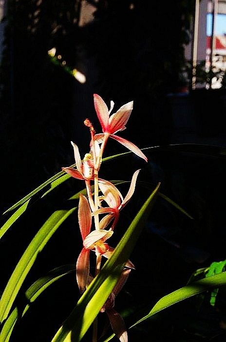 DSC_01210121.JPG