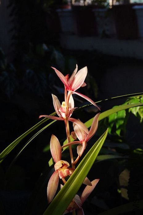 DSC_01160116.JPG