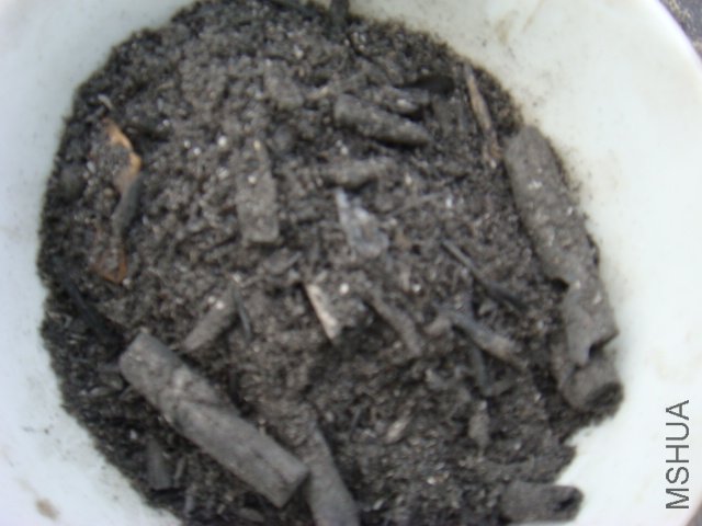 DSC06712.JPG