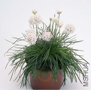 item.taobao.com__T2UDhhXXFcXXXXXXXX_!!46506097_000.jpg
