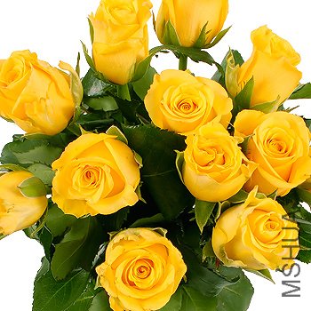 GOLDEN WEDDING 3.jpg