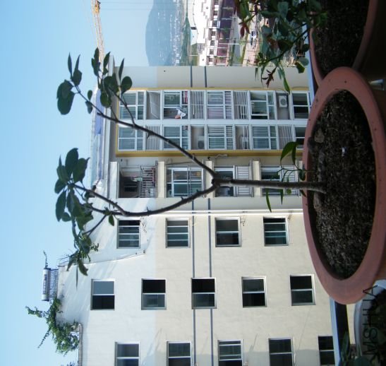 1283072569-69.jpg