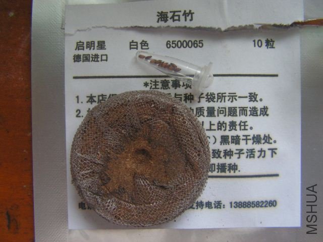 PICT0419_640x480.jpg