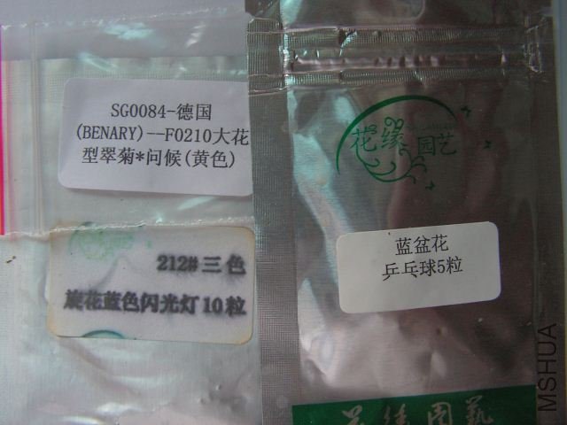 PICT0428_640x480.jpg