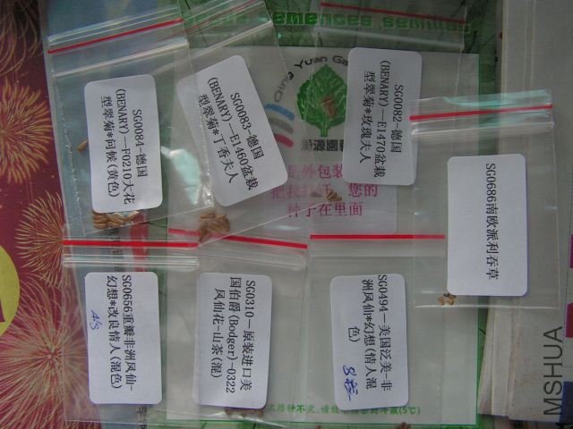 PICT0426_640x480.jpg