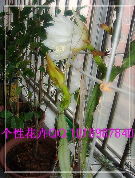 http_imgloadCA093IHM.jpg