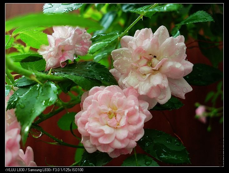 nEO_IMG_SL380307.jpg