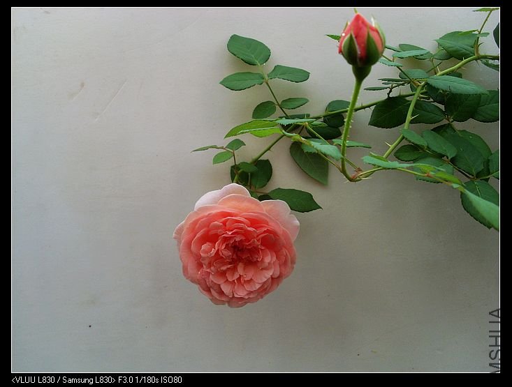 nEO_IMG_SL380298.jpg