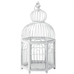 birdcage.jpg