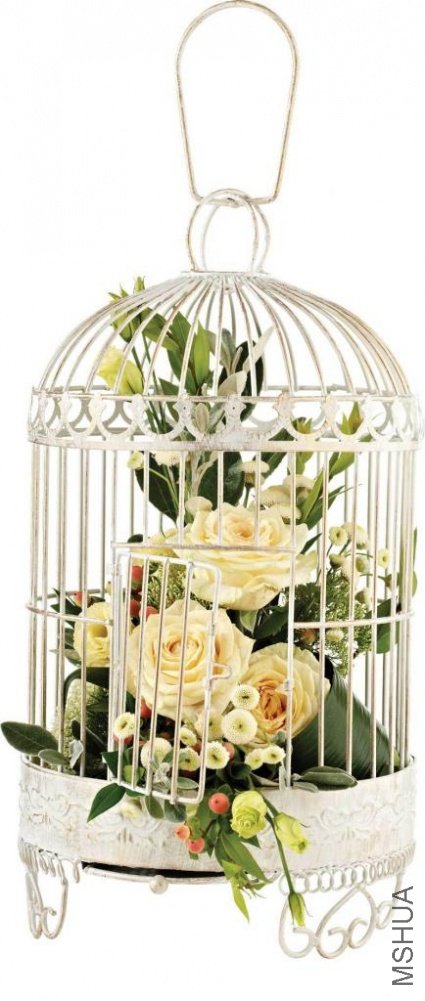 ornate-birdcage202.jpg