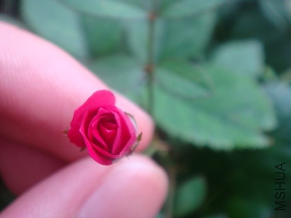 photo.renren.com__p_large_8BV8_5cd600013ef92d0b.jpg