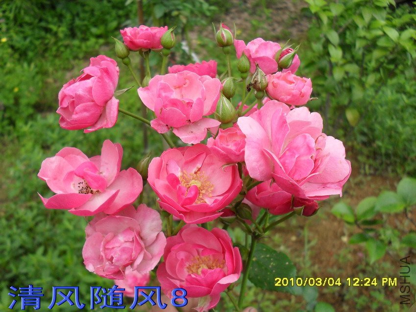 ������11 (5).jpg