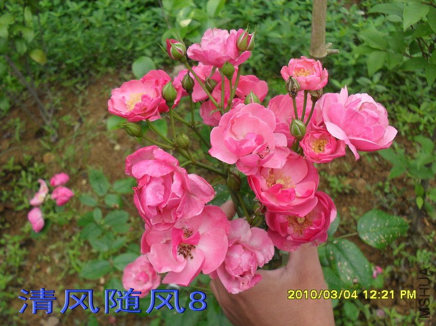 ������11 (3).jpg