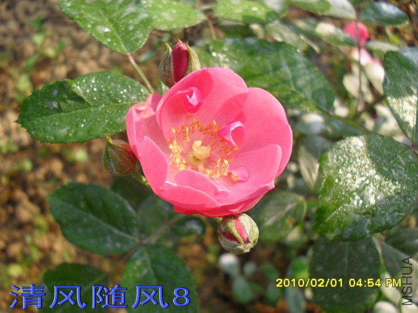 ������11 (6).jpg