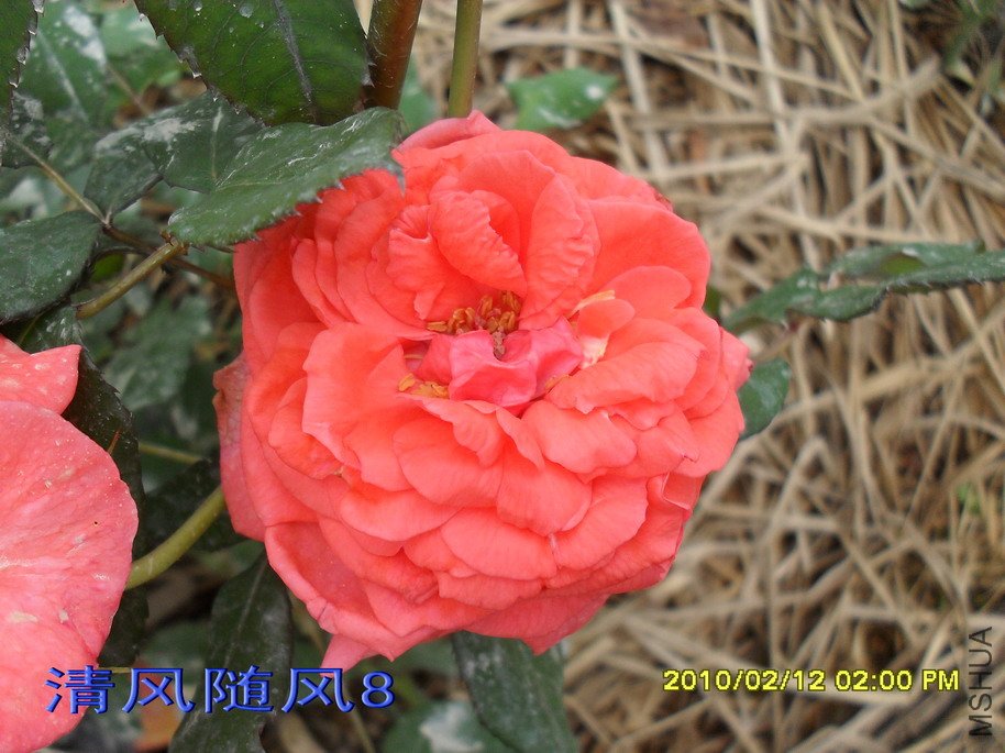 �ȷ۷Ứ11 (1).jpg