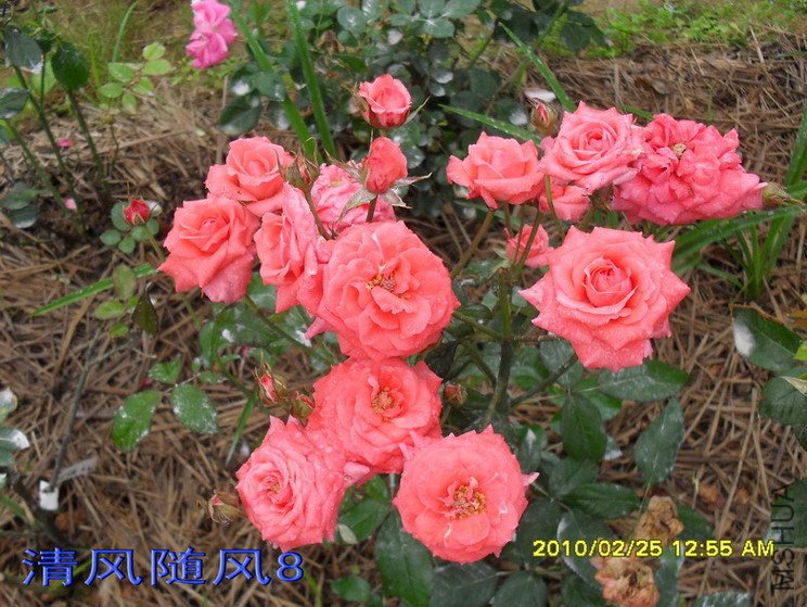 �ȷ۷Ứ11 (7).jpg