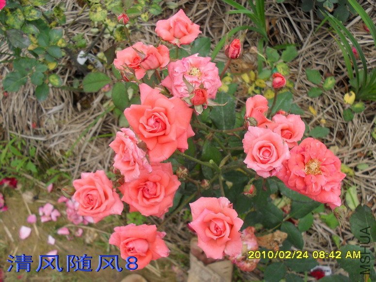 �ȷ۷Ứ11 (4).jpg