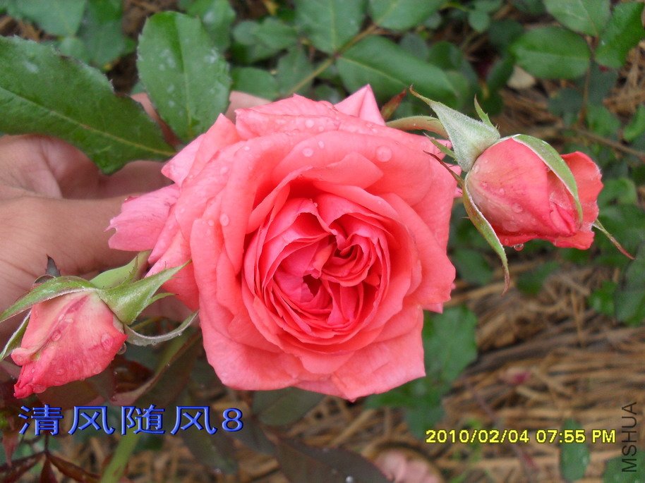 �ȷ۷Ứ11 (3).jpg