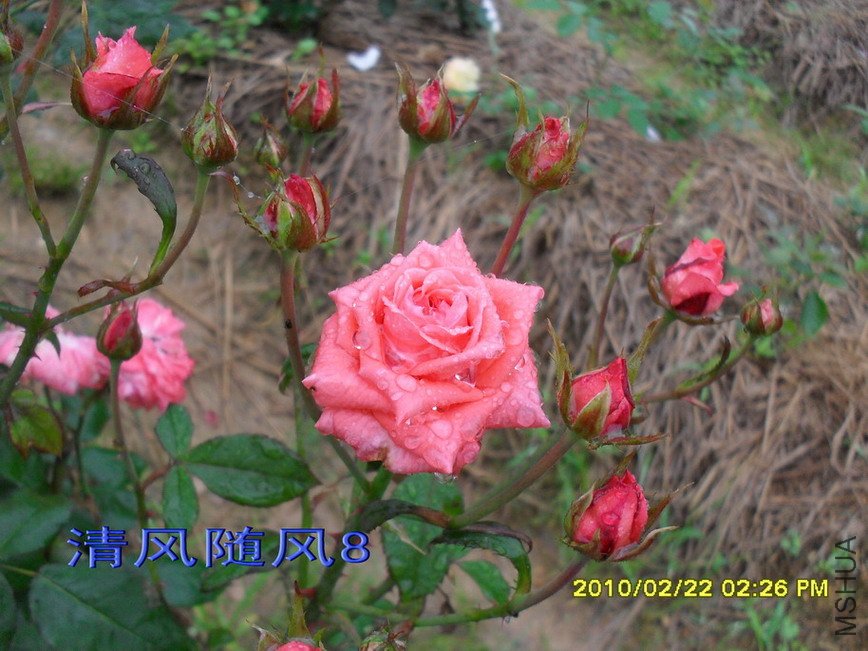 �ȷ۷Ứ11 (2).jpg