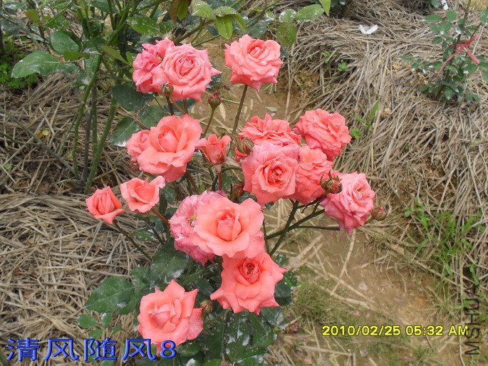 �ȷ۷Ứ11 (8).jpg