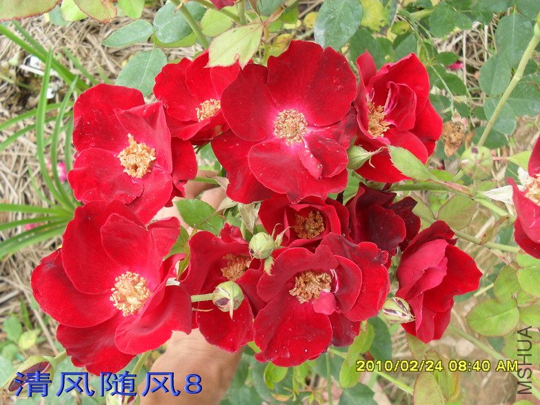 �����ľ11 (2).jpg