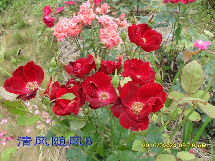 �����ľ11 (6).jpg