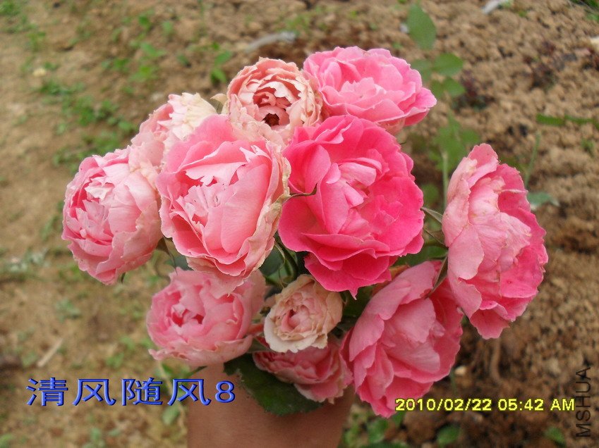 �۷Ứ����11 (8).jpg