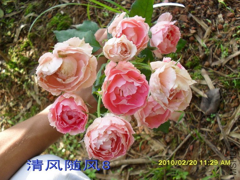 �۷Ứ����11 (7).jpg