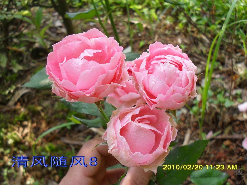 �۷Ứ����11 (3).jpg