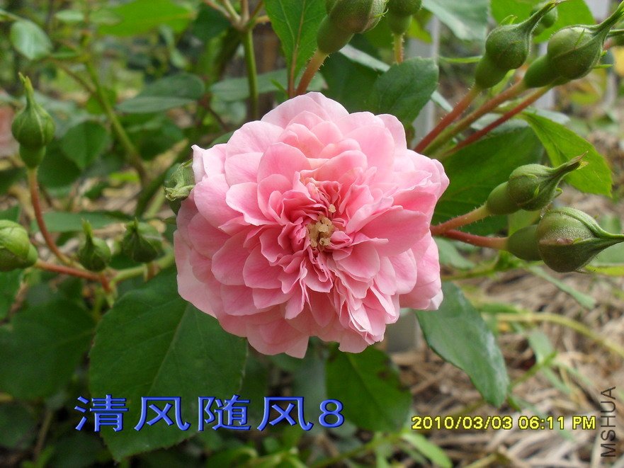 �����12 (6).jpg