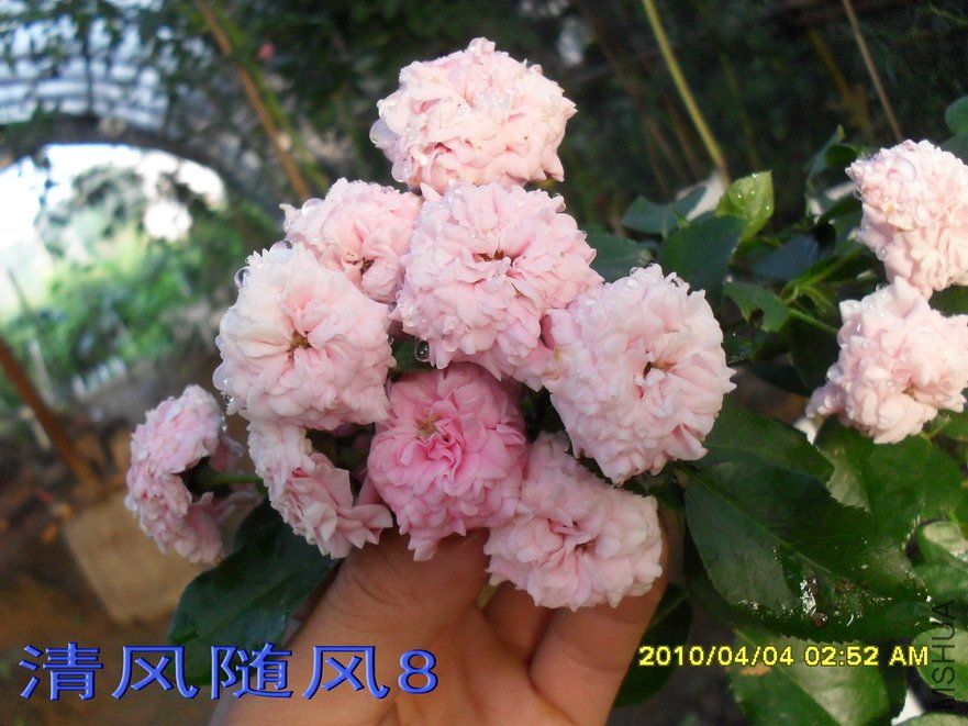 �����12 (7).jpg