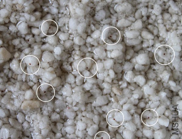 �ֲ��� Ϊ�˷��㿴 �Ұ����Ӷ�Ȧ������ ���Ǻ�С��˵