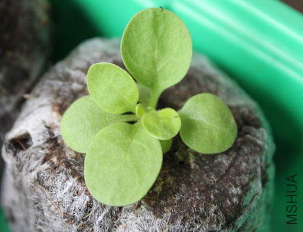 �������������ƾ����� �Ǳ��һ�� ��ϸ����