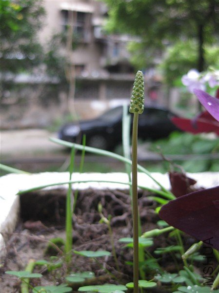 ����¥�ݼ�����ѷ���������