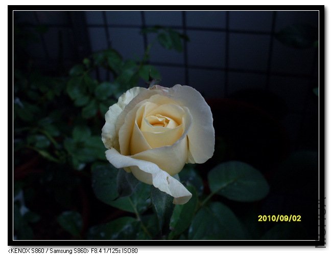 SDC15080_nEO_IMG.jpg
