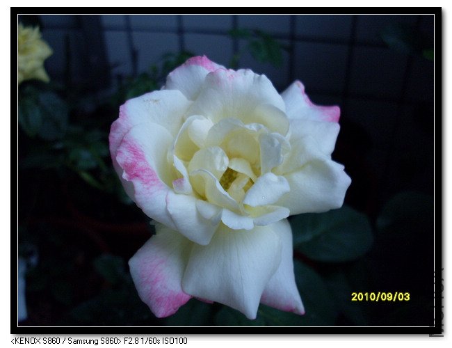 SDC15096_nEO_IMG.jpg