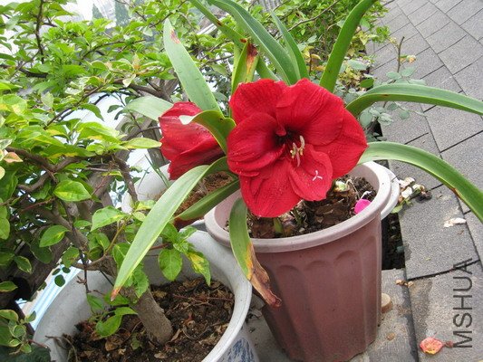 IMG_7707.JPG