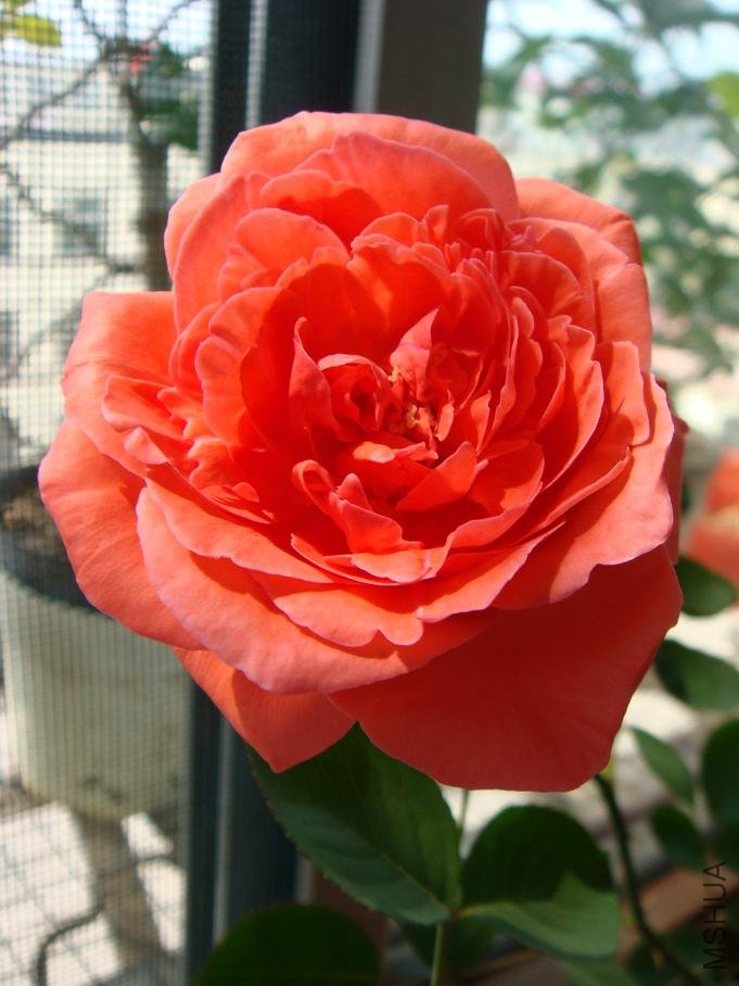 DSC03014.JPG