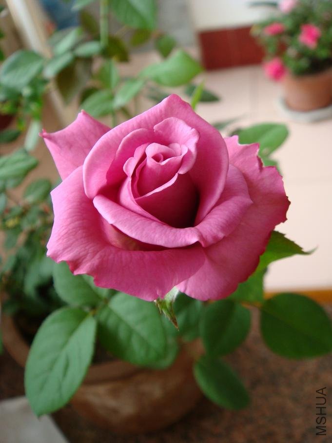 DSC03025.JPG