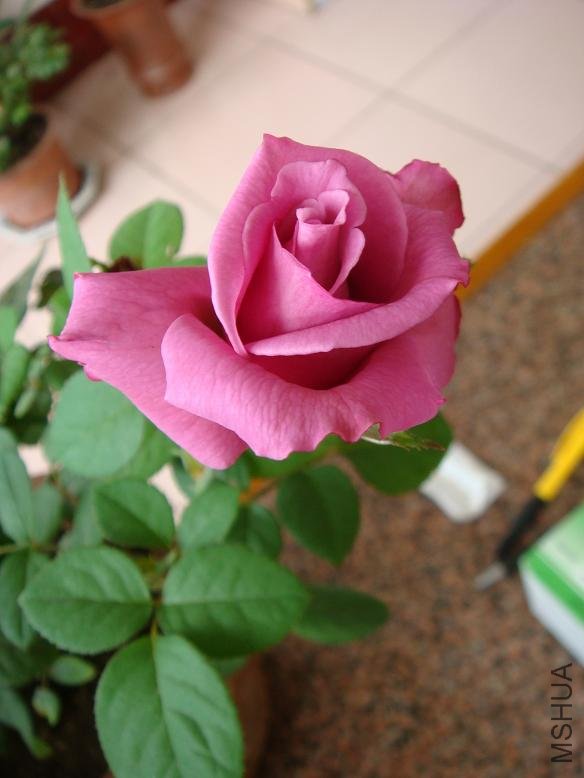 DSC03026.JPG