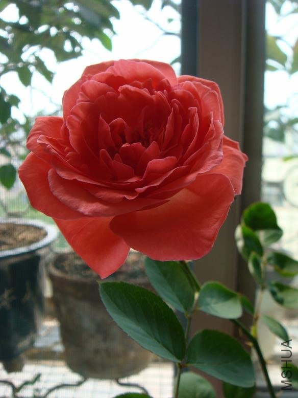 DSC03029.JPG