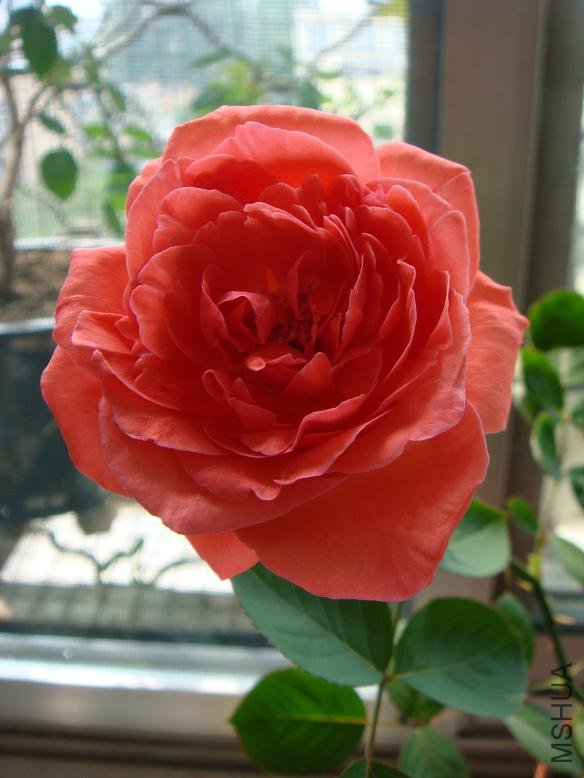 DSC03030.JPG