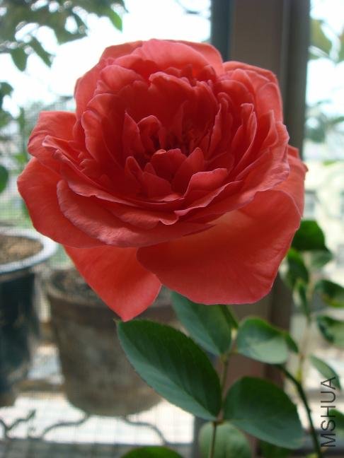 DSC03031.JPG