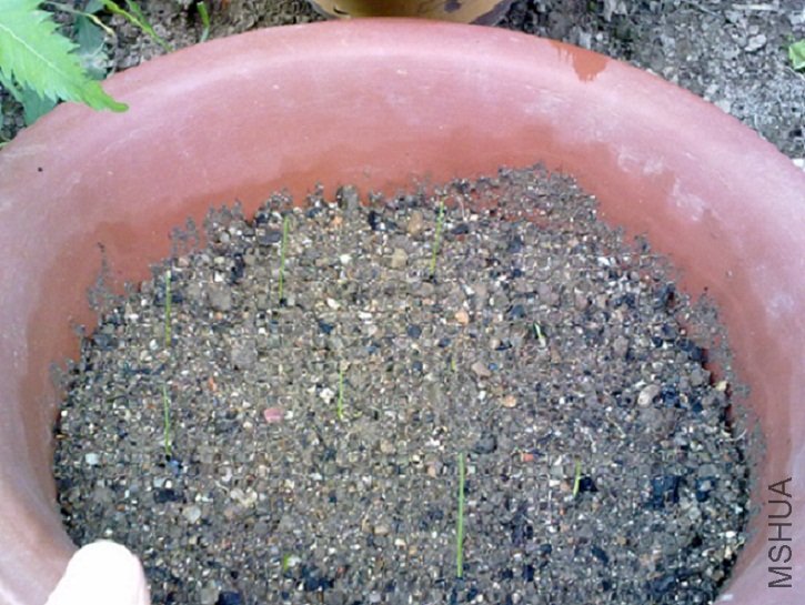 20100905354.jpg