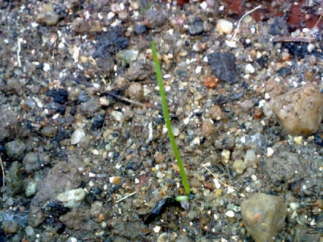 20100905360.jpg