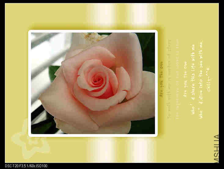 nEO_IMG_�¼�.jpg